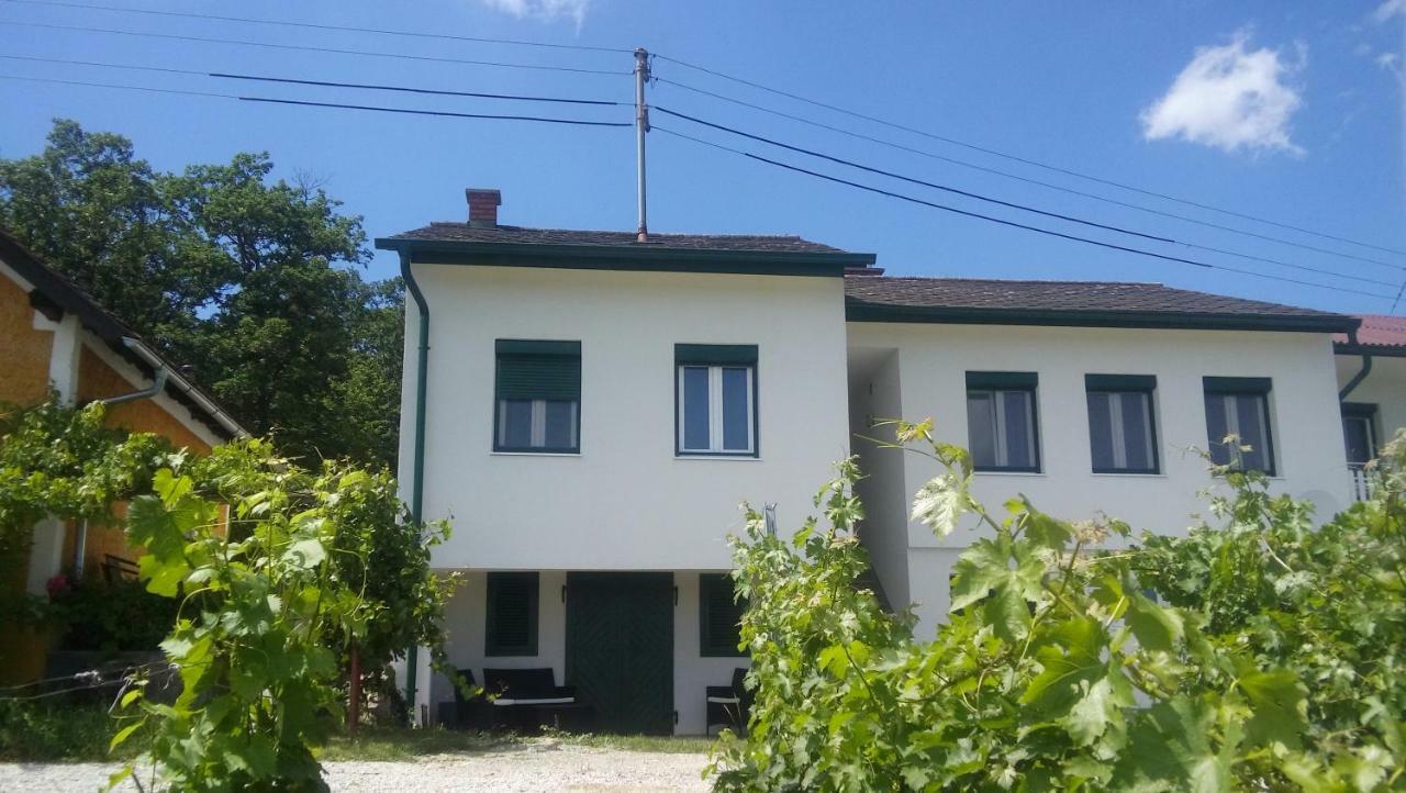 Ferienhaus Szapary II Eisenberg an der Pinka Exterior foto
